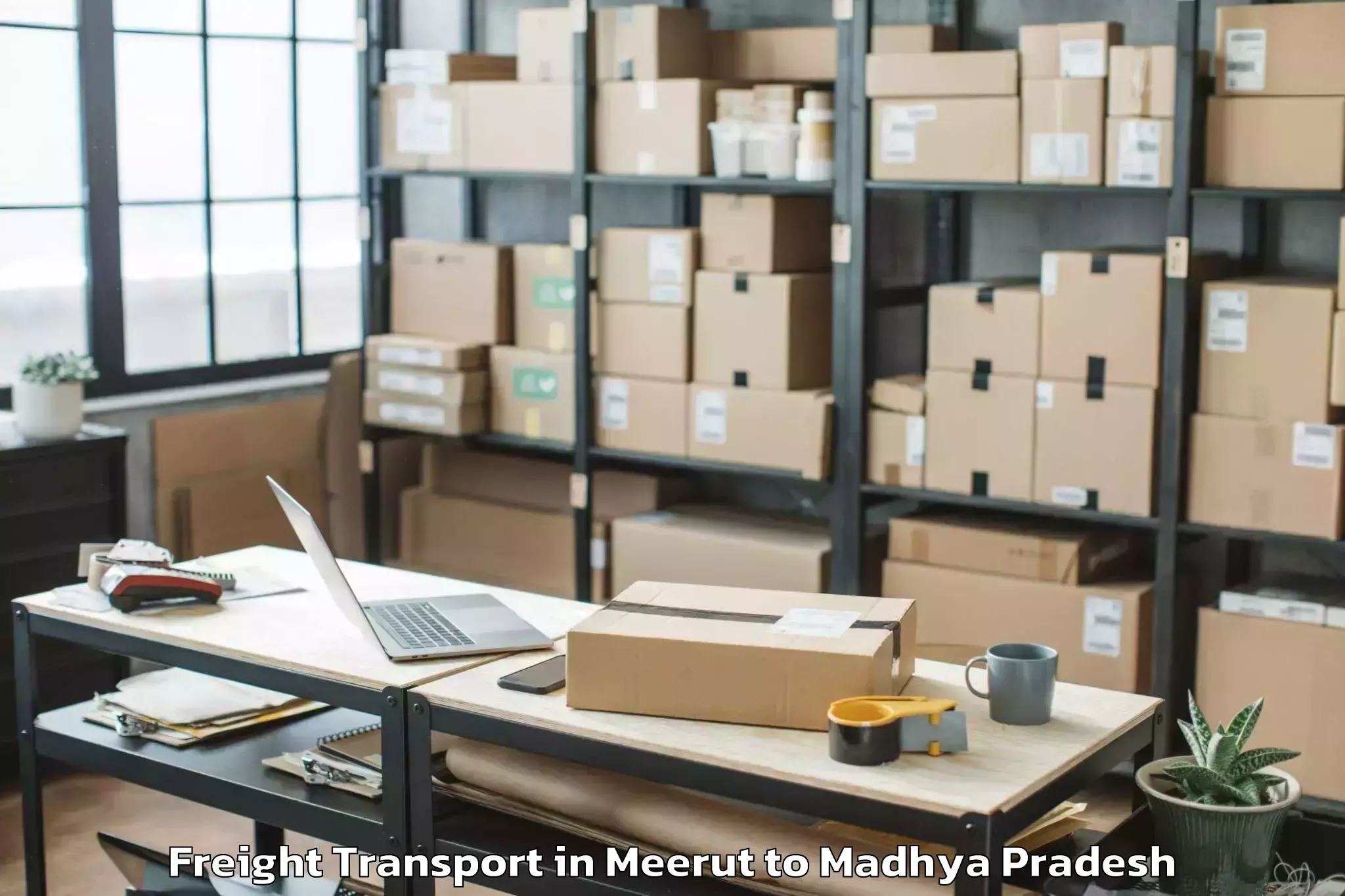 Get Meerut to Badnagar Freight Transport